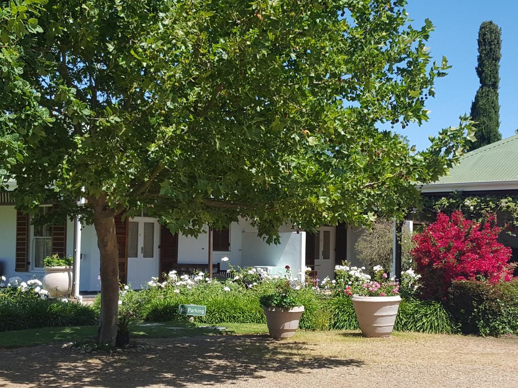 Hoopenburg Guesthouse Stellenbosch Dış mekan fotoğraf