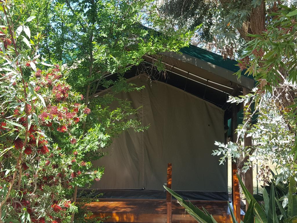 Hoopenburg Guesthouse Klapmuts Dış mekan fotoğraf