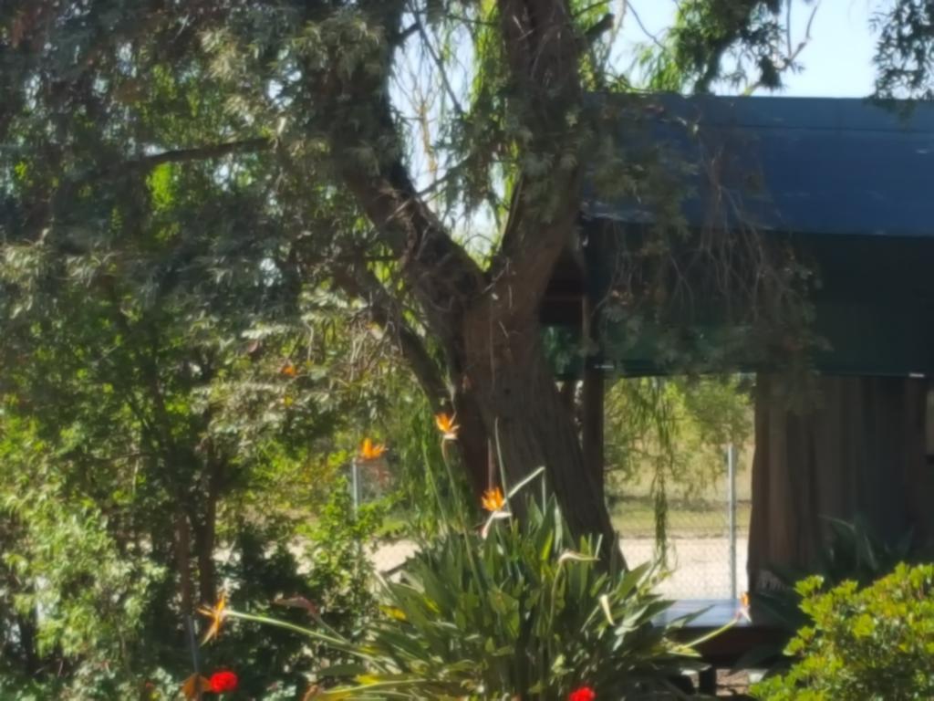 Hoopenburg Guesthouse Klapmuts Dış mekan fotoğraf
