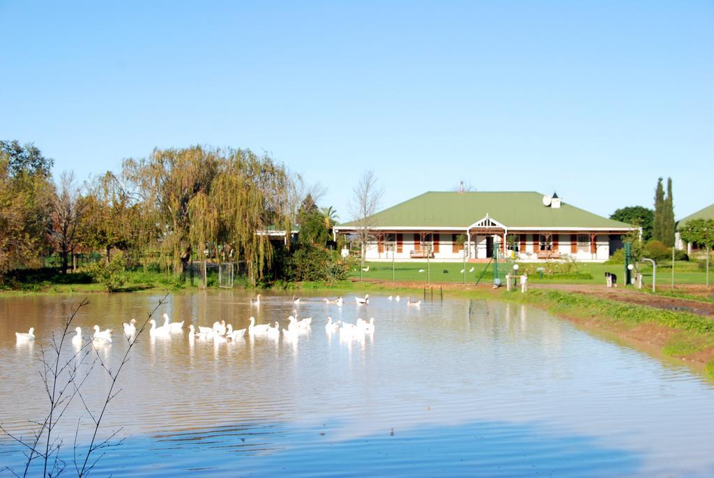 Hoopenburg Guesthouse Stellenbosch Dış mekan fotoğraf