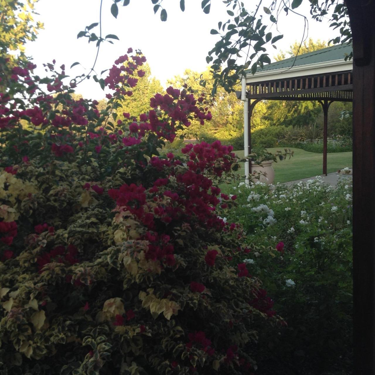 Hoopenburg Guesthouse Klapmuts Dış mekan fotoğraf